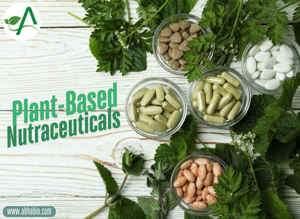 Exploring Business Opportunities in Plant-Based Nutraceuticals
