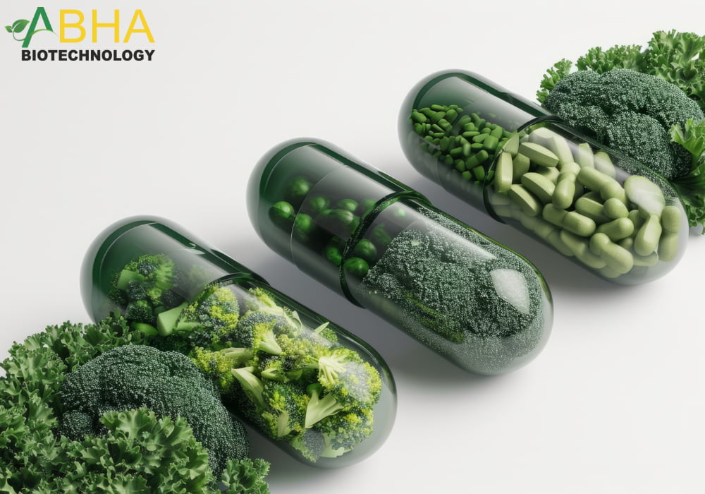 International Regulatory and Compliance Guide for Nutraceutical Companies