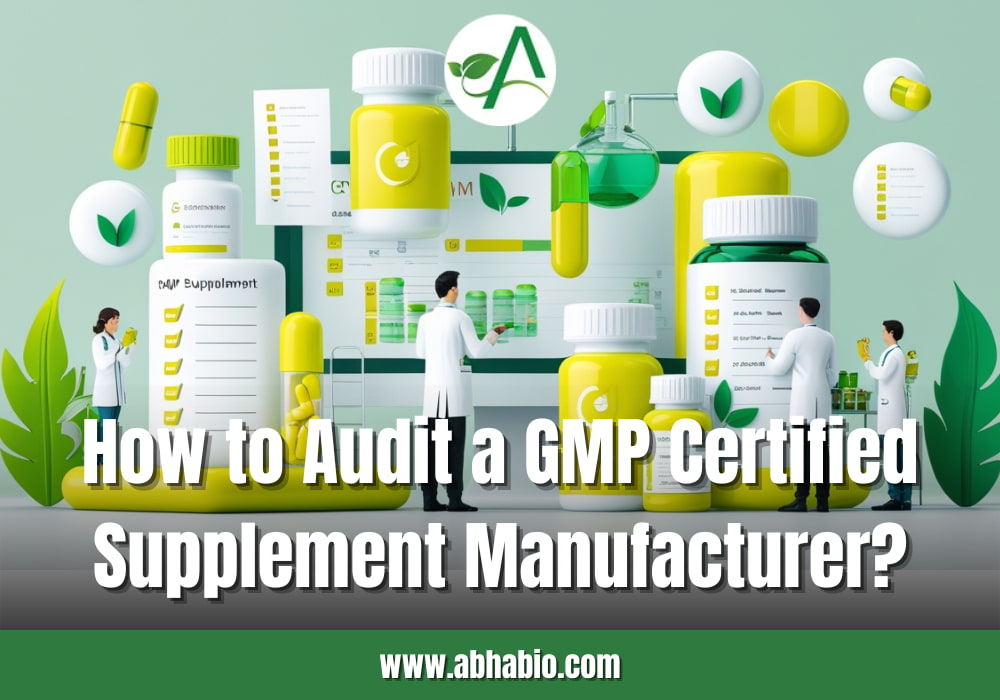 How to Audit a GMP Certified Supplement Manufacturer?